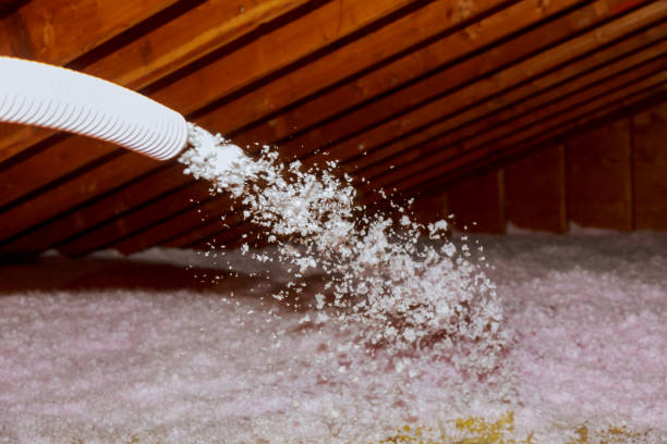 Best Commercial Insulation in Burlingame, CA