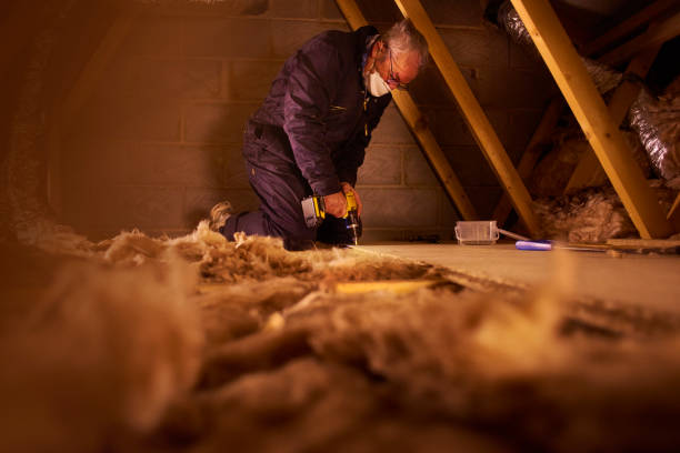 Best Residential Insulation in Burlingame, CA